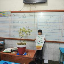 Exploring the wonders of nature (Plants Examination)