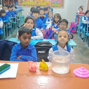 Pet Fish and Toy fish