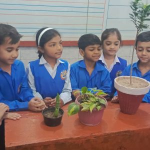 Growing a Seed